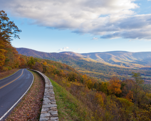 VA Virginia testimonials