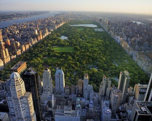 NY testimonials central park